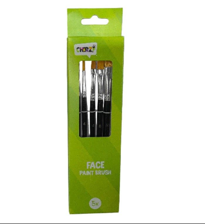 Schmink penselen set 5st