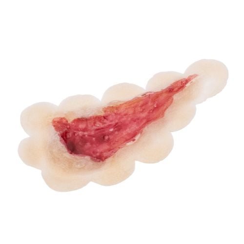 Latex applicatie open wound #2